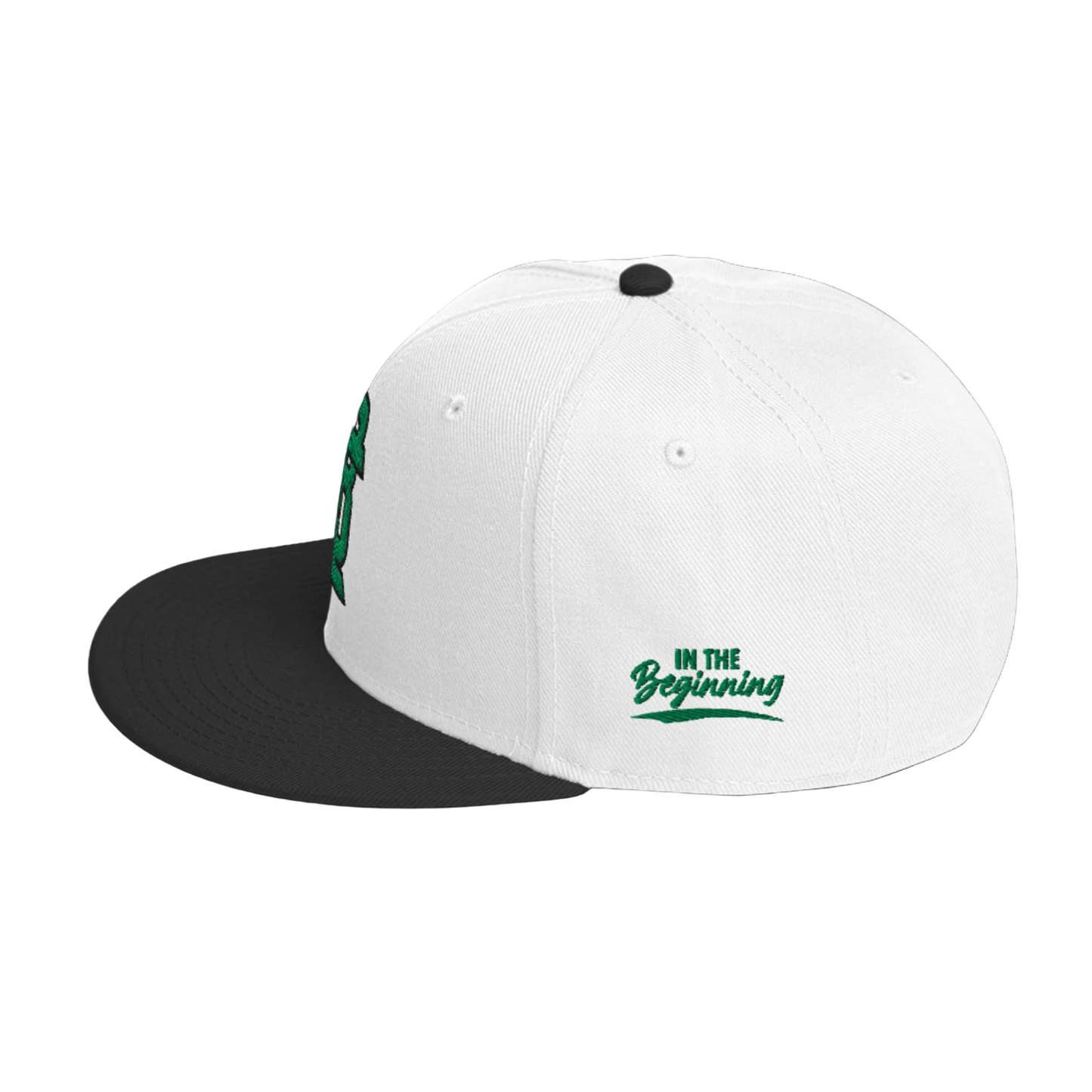 Snapback Hat