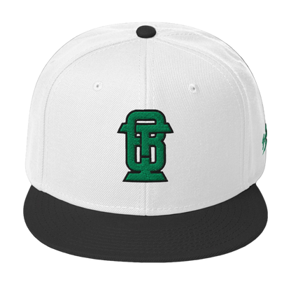 Snapback Hat