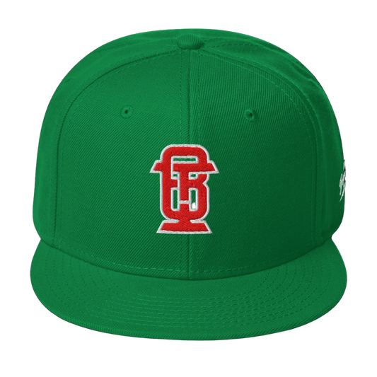 Snapback Hat
