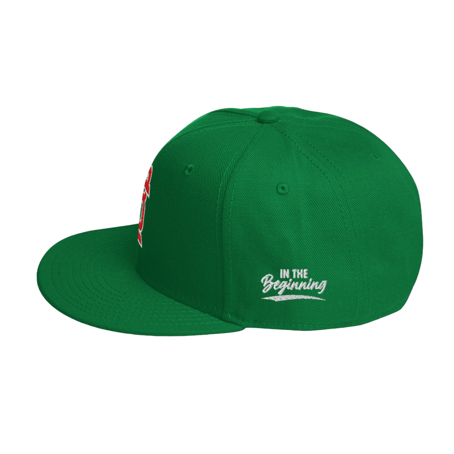 Snapback Hat